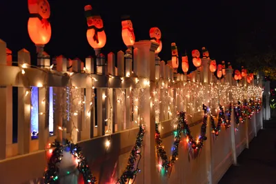 DSC_5771 (Large).JPG